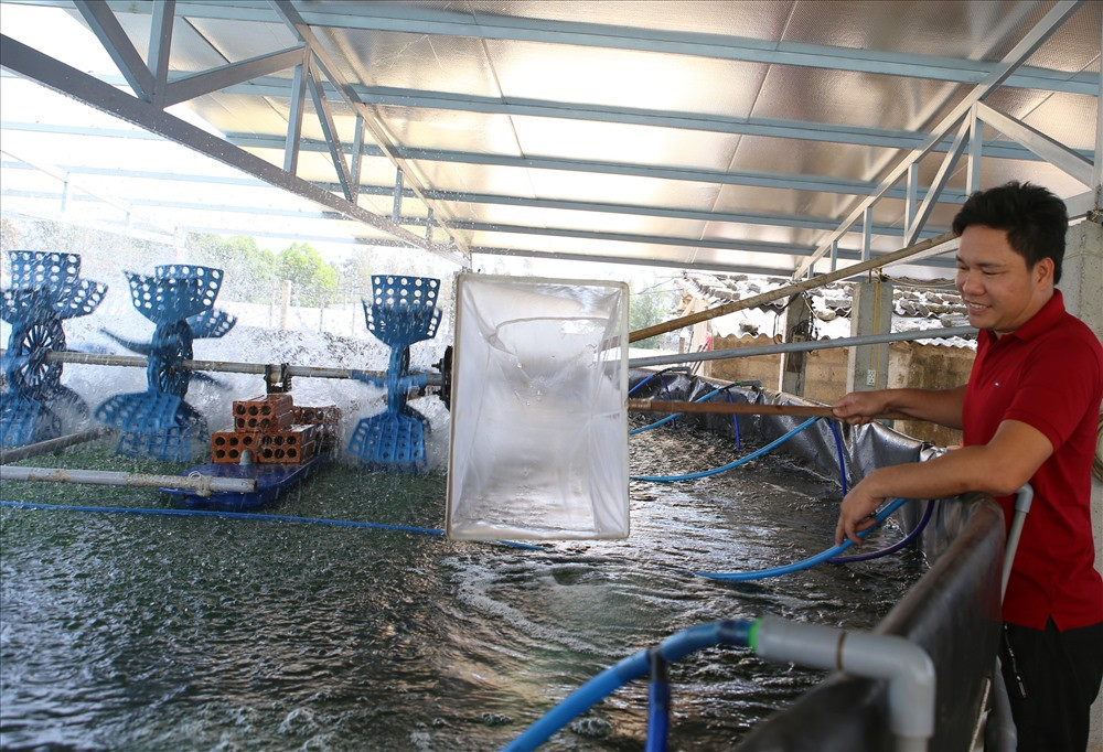 Tỉ phú nuôi tôm trên cát Hoàng Thế Vinh - Ảnh: Hưng Thơ
